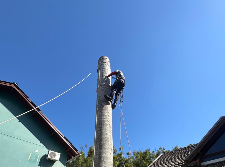 Arborista desmontando o tronco de uma palmeira por partes